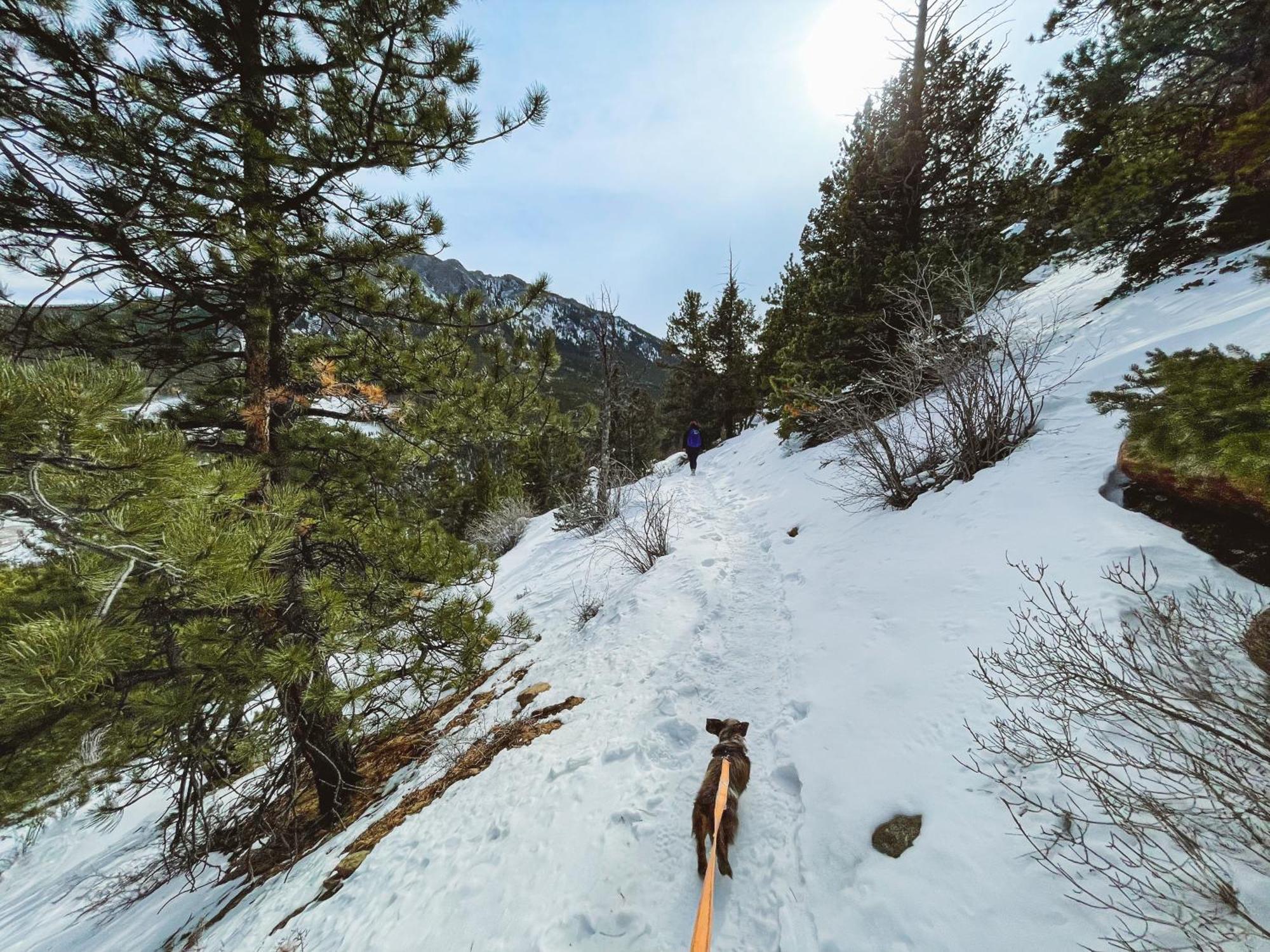 Holiday Inn Estes Park By Ihg Buitenkant foto