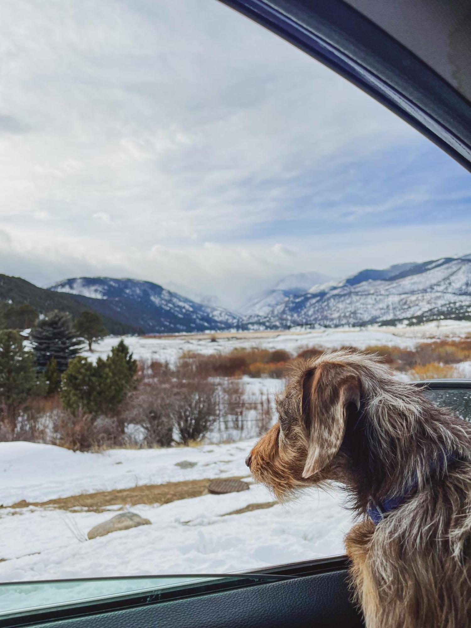 Holiday Inn Estes Park By Ihg Buitenkant foto